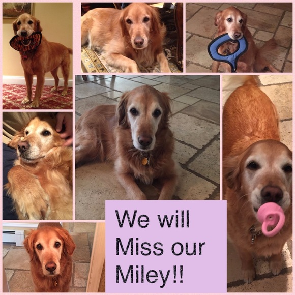 Meet your Posher, Posh Ambassador Shari - Picture 3 of 5